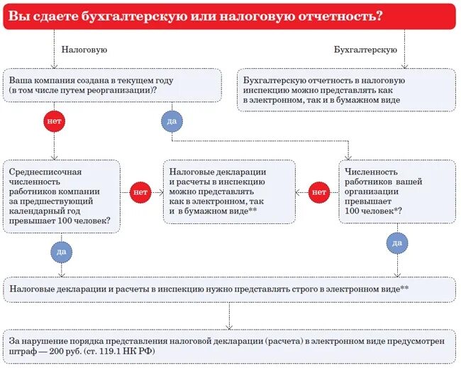 Какие документы нужно сдать в налоговую. Налоговая отчетность. Порядок представления налоговой отчетности. Налоговая отчетность в электронном виде. Как можно сдать отчетность в налоговую.