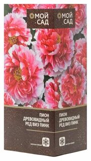 Ред виз пинк древовидный