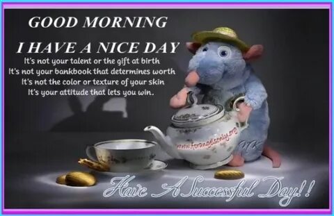 It s nice morning