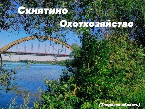 Скнятино острова на волге. Скнятино калязин. Скнятино рыбалка. Остров скнятино тверская область. Погода в скнятино на неделю.
