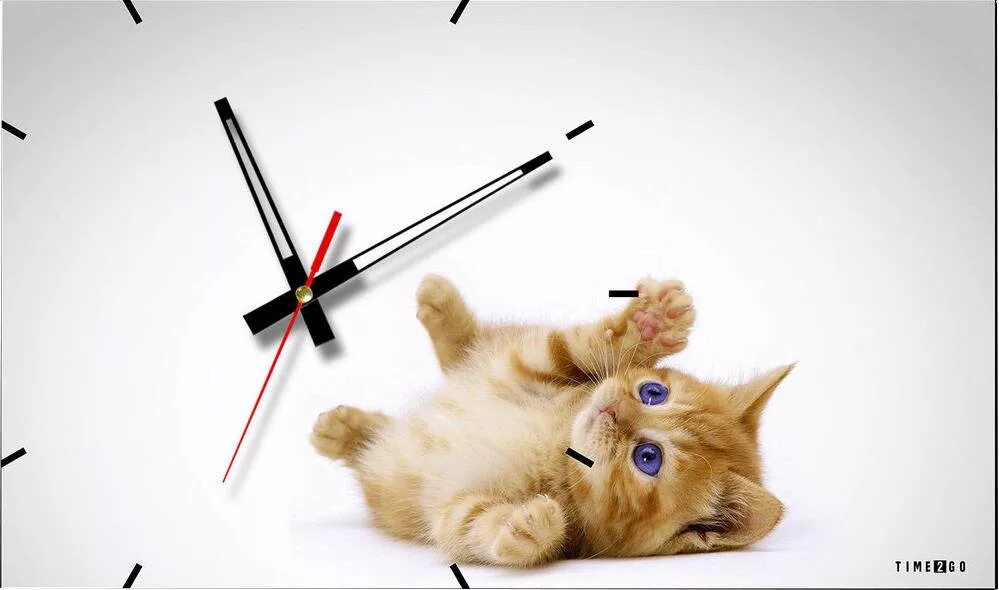 Тайм кот. Будильник кошка. Кот смотрит на часы пора. Time 2 go 4016 "гжель прованс". Настенные модульные часы с котом британец.