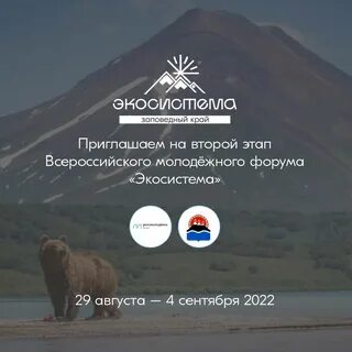 Молодежная экосистема