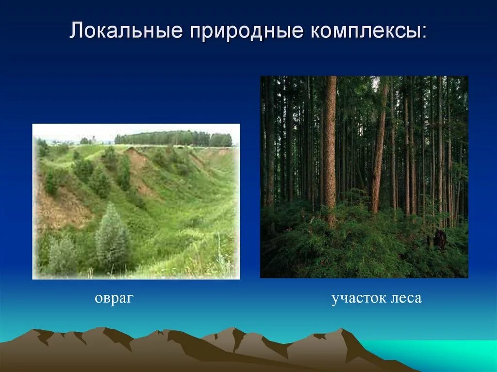 Характеристика локального природного комплекса. Локальные природные комплексы. Разнообразие природных комплексов. Региональные природные комплексы. Разнообразие природных комплексов России.