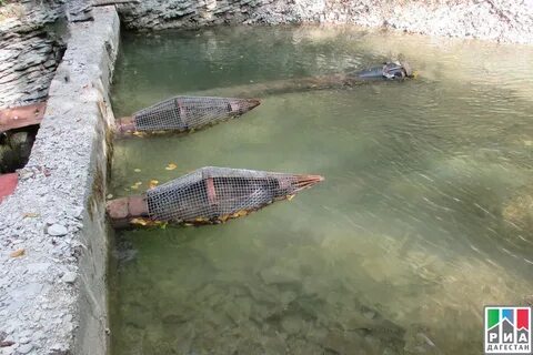 Вода в буйнакске