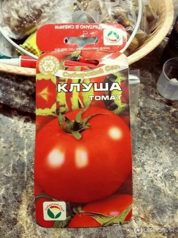 Помидоры клуша описание. Сорт помидор клуша. Томат суперклуша розовый семена. Семена сибирский сад томат золотая клуша. Сорт томатов клуша.