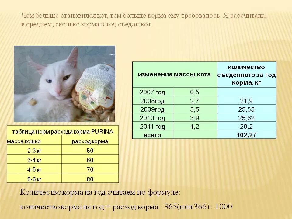 Сколько должны пить котята. Норма корма для котенка. сколько корма давать кошке. сколько корма должен съедать кот в день.