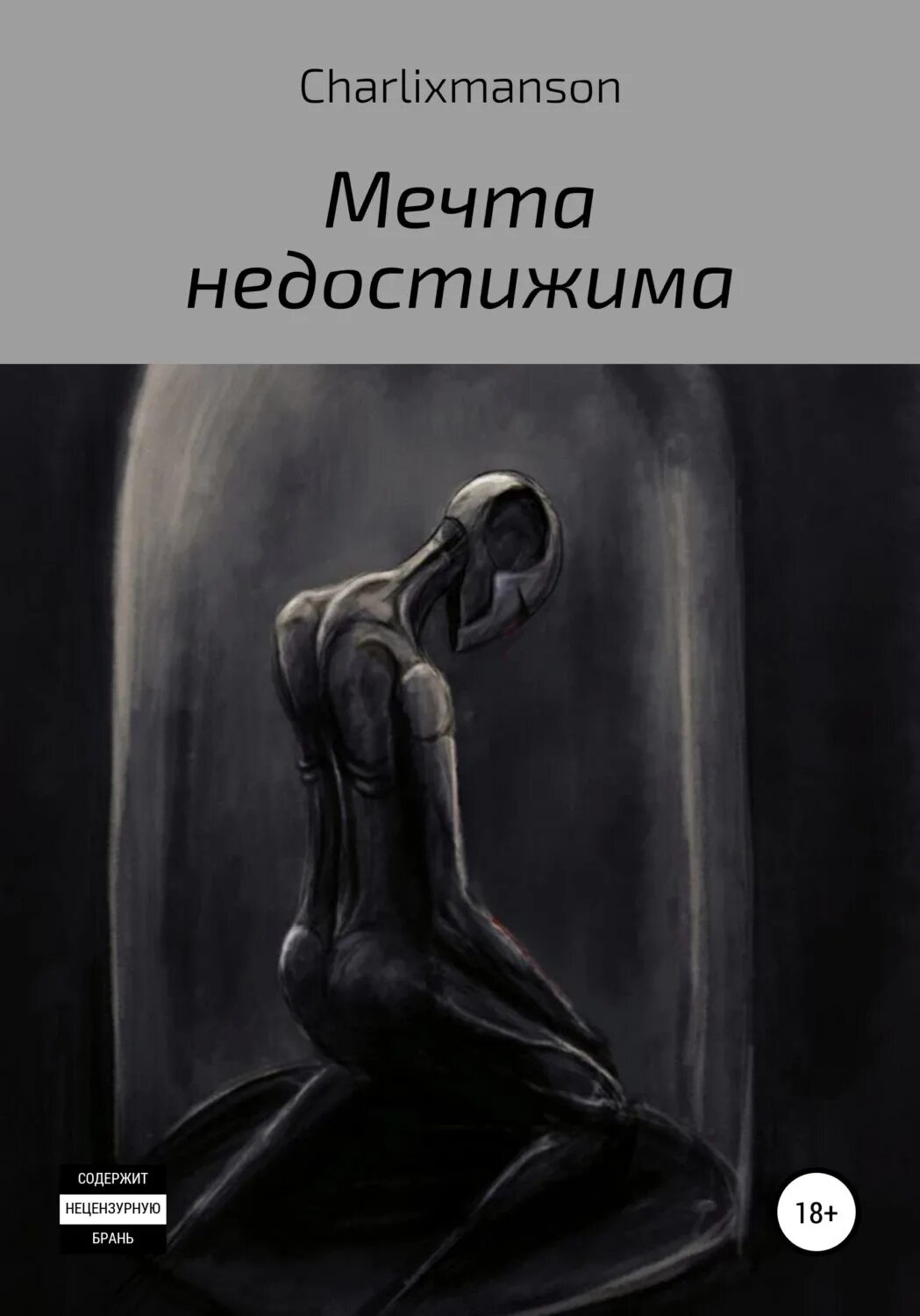 Мечта читать полностью. Книга мечта. недостижимая мечта. недостижимая девушка книга. недостижима.