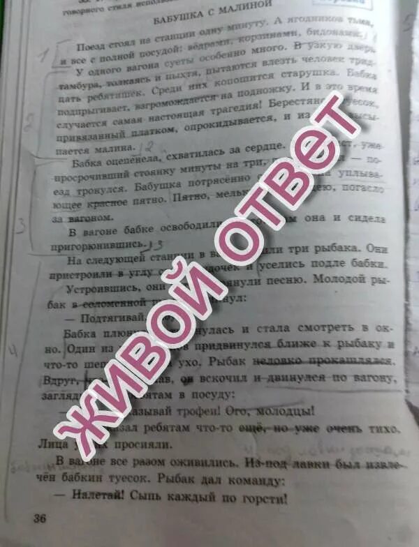 Бабушка с малиной читать полностью. Рассказ бабушка с малиной. Бабушка с малиной текст. Бабушка с малиной Астафьев текст. Бабушка с малиной ответы на вопросы.