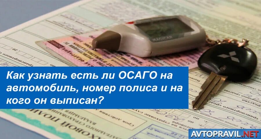 Как узнать владельца осаго. Как узнать кто вписан в страховку. проверить есть ли страховка на машину. проверить каско по номеру автомобиля. как проверить есть ли осаго.