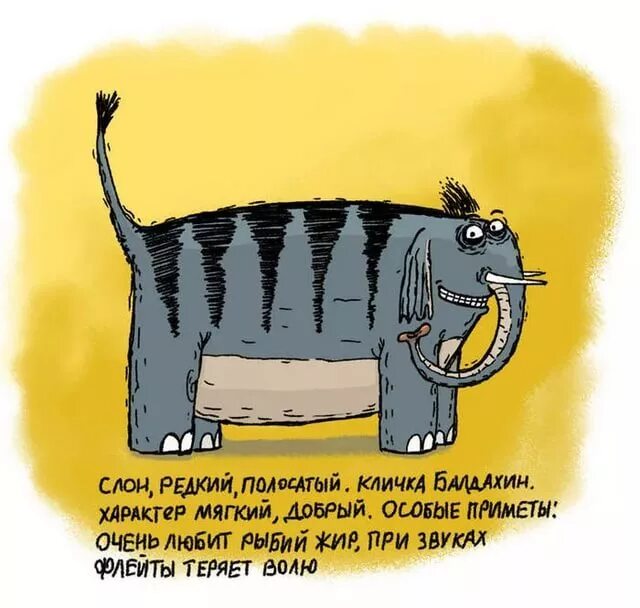 Следствие ведут колобки мультфильм слон. Следствие ведут колобки рыбий жир. Следствие ведут колобки страус. Следствие ведут колобки мультфильм 1986 слон. Колобки ведут расследование слон.