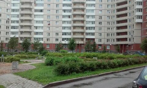 Авито сосновый бор ленинградская