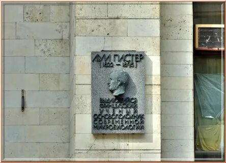 Нии пастера