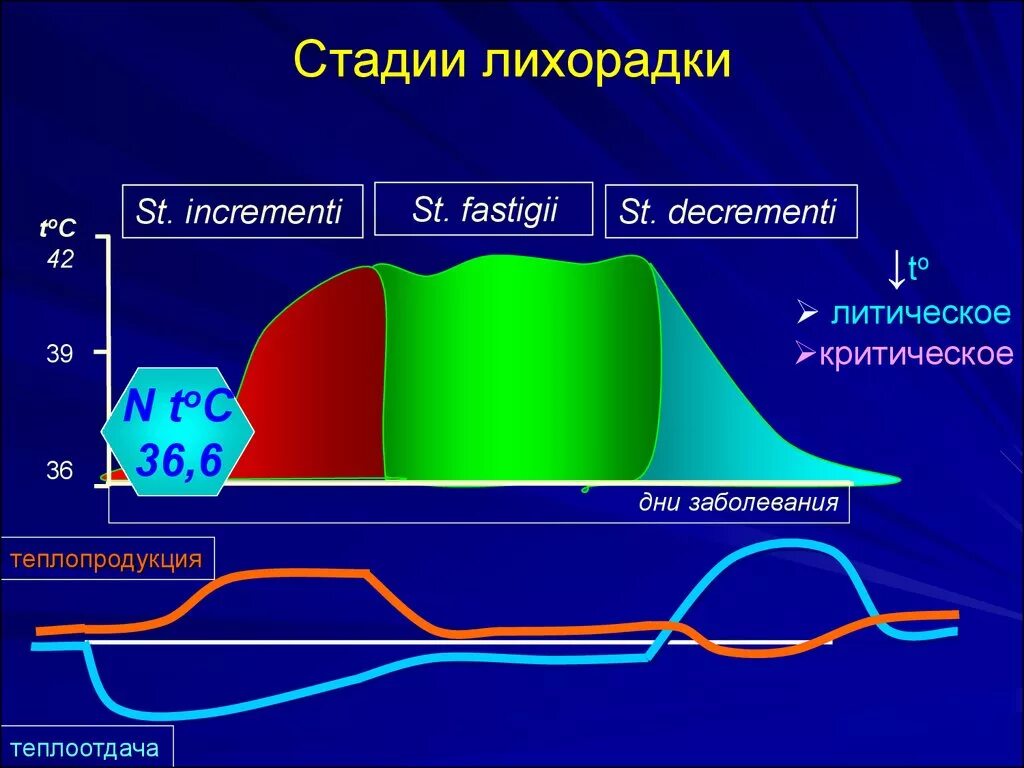 Лихорадка 4 день. Этапы развития лихорадки. Стадий лихорадки. Стадии лихорадки патофизиология. Стадии лихорадки схема.