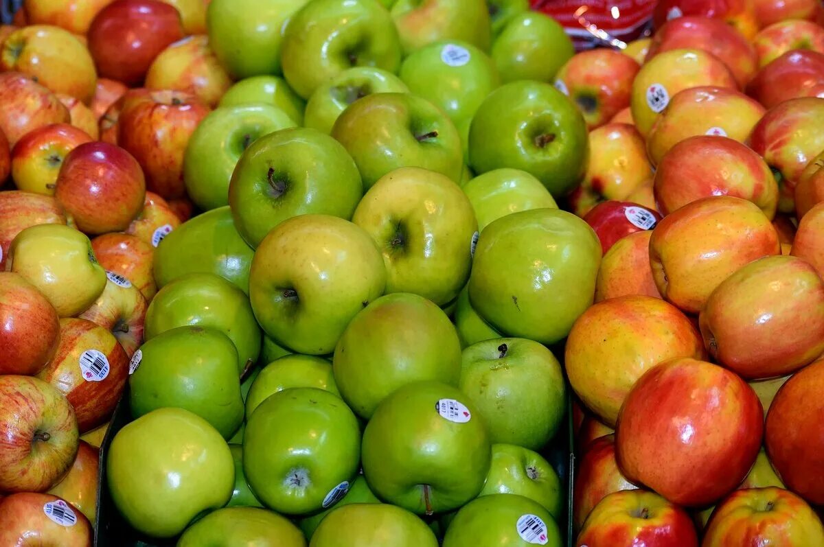 Где можно купить яблоки. Сорт яблок Молдаванка. Яблоки импортные. Яблоки домашние. Яблоки в ассортименте.