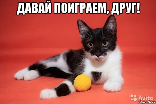 Сыграем в игру пила мем. Давай сыграем в игру пила. Кукла билли чревовещатель пила. Пила кукла билли джон крамер. Ну я поиграл.