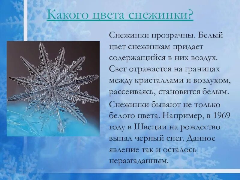 Снежинки разного цвета. Букет из снежинок. Елочка типа снежинка. Снежинки цветные. Декоративные снежинки для украшения.
