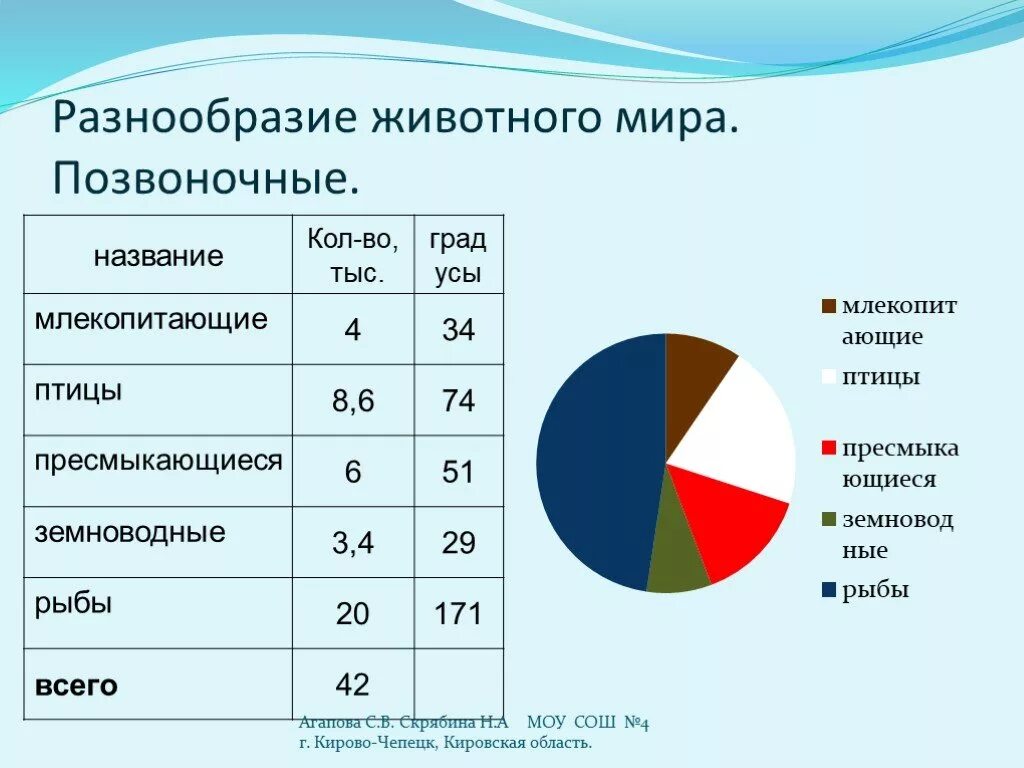 Количество общий видов животных. Численность видов животных. Диаграммы. Многообразие животных диаграмма. Диаграмма с процентами.