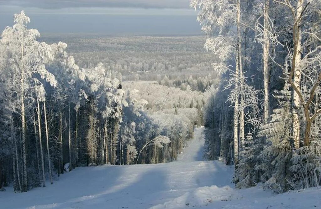 Пихтовый гребень гора новосибирская. Гора пихтовый гребень новосибирская область. Пихтовый гребень гора новосибирская область. Гора салаирский кряж. Пихтовые горы нижний тагил.