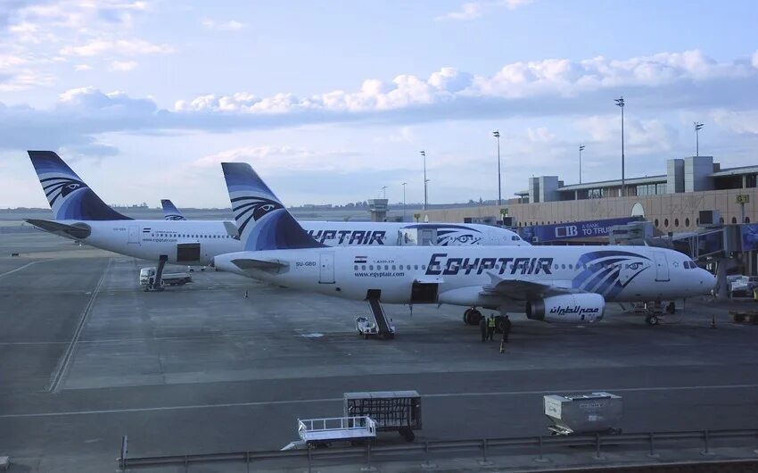 Самолет новосибирск египет. Egyptair flight 321. Египт эйр авиакомпания. Самолет новосибирск египет. Egyptair о компании.