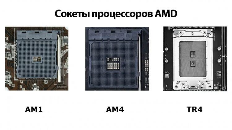 7 04 am. Чипсеты AMD am4. Процессоры Intel сокет ам4. Socket AMD am4 Size. Процессор АМД сокет ам3+.