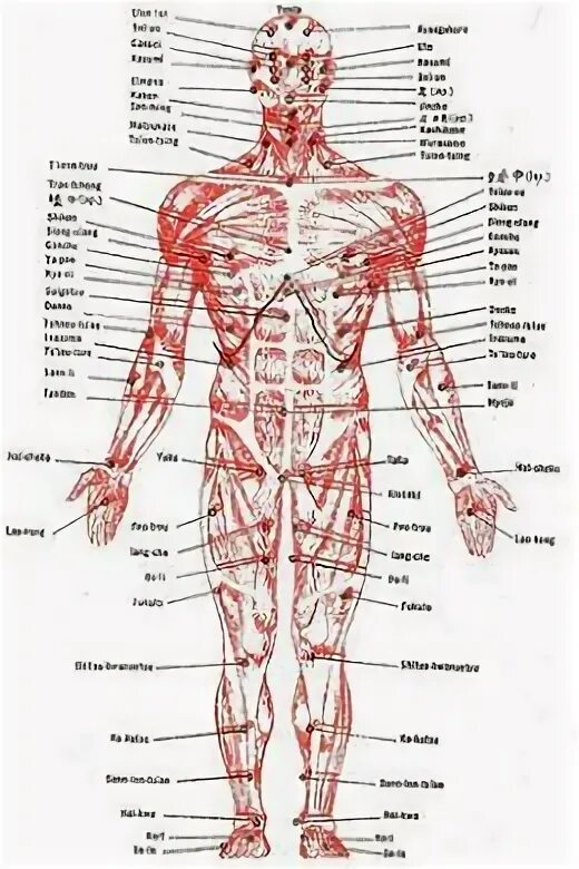 Practice points