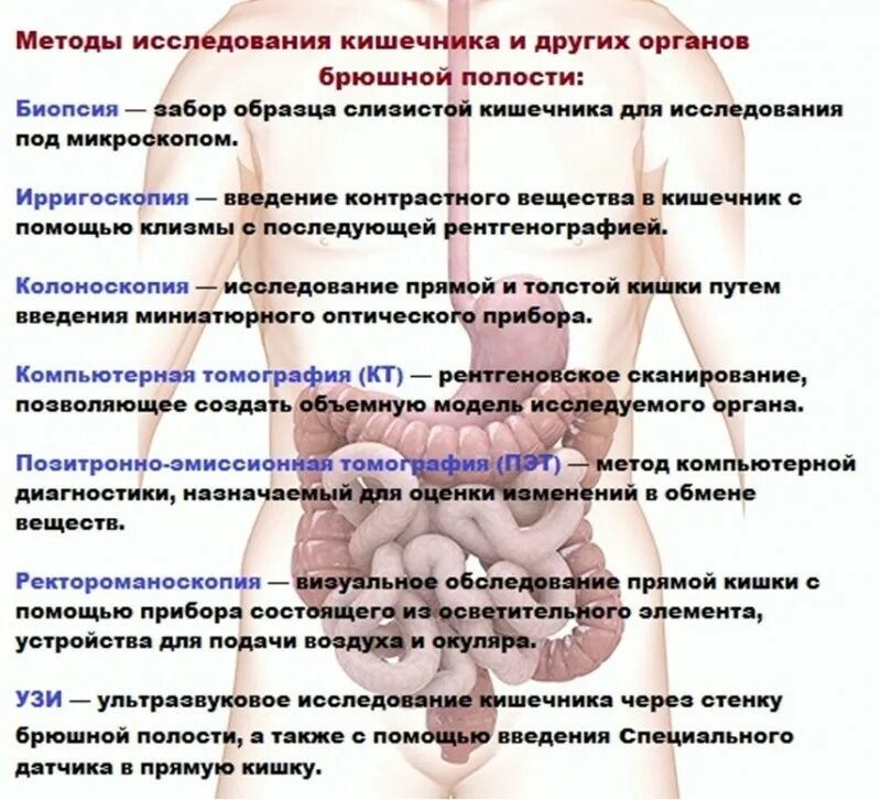Почему пучит живот и часто отходят газы. Диета при сильном вздутии живота. газообразование в кишечнике вздутие живота. продукты не вызывающие газообразование и вздутие живота. продукты вызывающие вздутие кишечника.