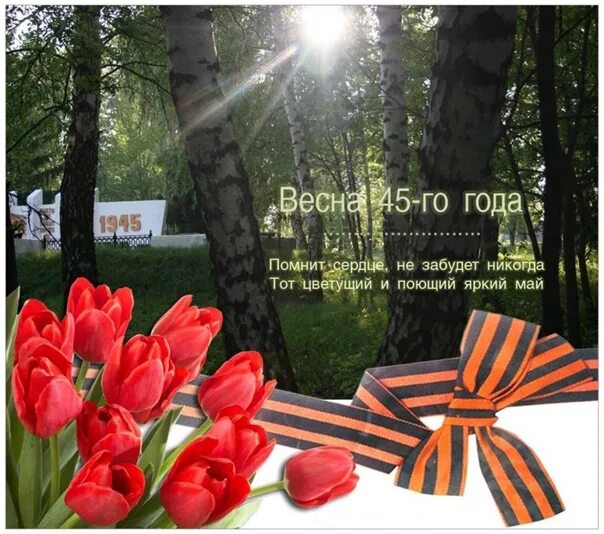 Помнит вена помнят альпы и дунай текст. Минус помнит вена помнят альпы и дунай. С днем победы мирного неба. Помнит вена. С днем победы мирного неба.