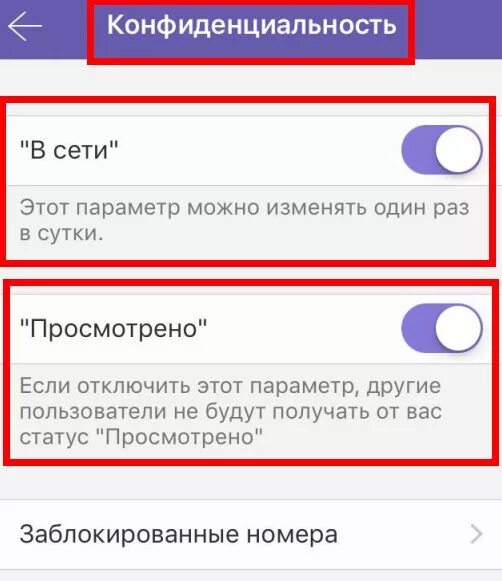 Как узнать дошло ли смс до абонента. Прочитанные сообщения в вайбере. как узнать что сообщение в вайбере прочитано. как поеять что смм прочитана. как понять что сис прочитаннп.