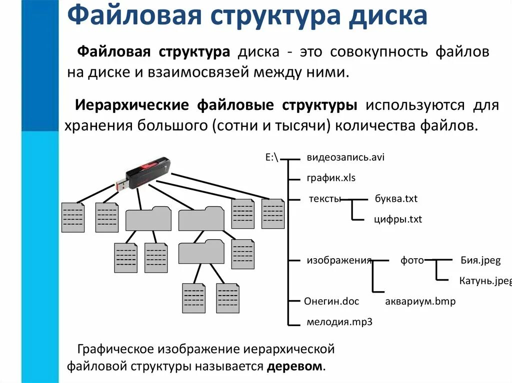 Информатика создание архив данных. Структура файловой системы схема. иерархическая файловая структура диска. задачи по информатике 7 класс файловая структура. файловые структуры 7 класс информатика.