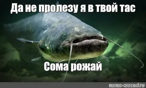 Рожать не буду не хочу