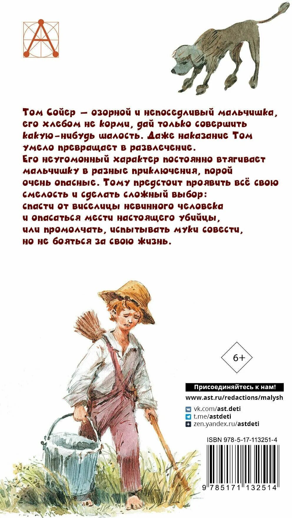 О чем говорилось в томе сойере. Приключения Тома Сойера книжка. Приключения Тома Сойера детское чтение. М Твен приключения Тома Сойера главные герои. Рассказ марка Твен приключения Тома Сойера.