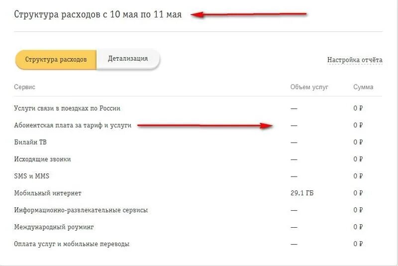 Распечатка мобильного интернета. Мобильный интернет карты что это такое в детализации Билайн. Детализация интернета Билайн. Билайн что такое объем услуг в детализации.