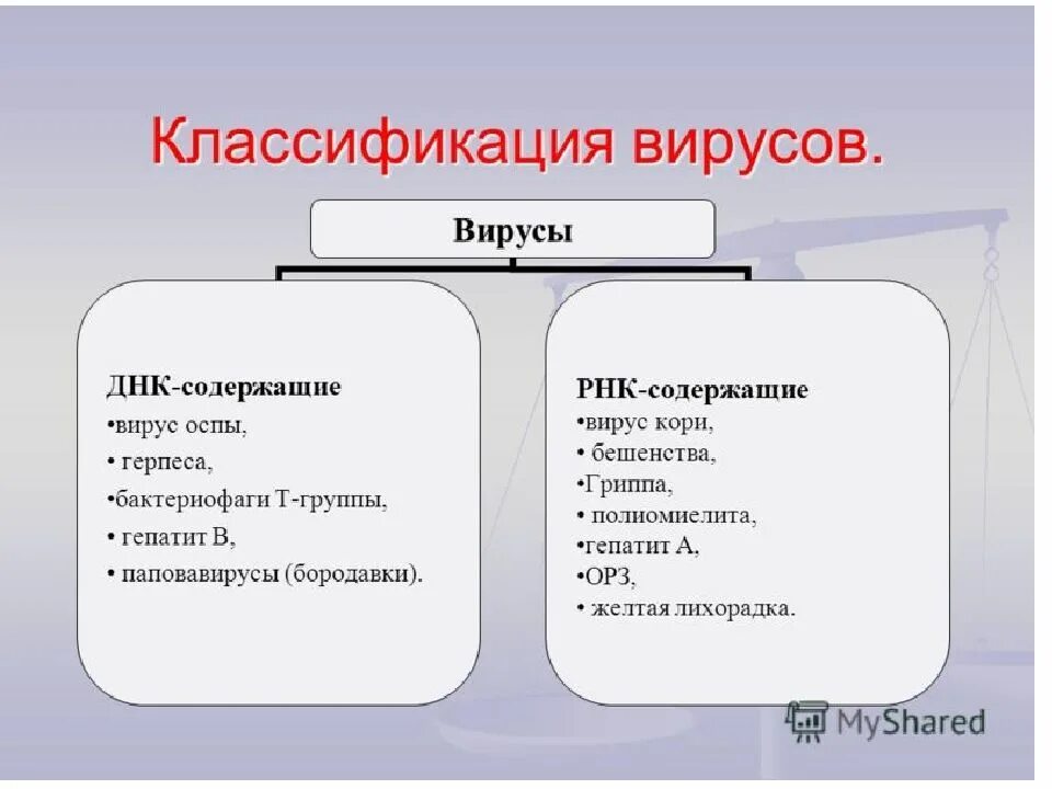 Классификация вирусов ДНК И РНК содержащие вирусы. Классификация вирусов ДНК И РНК содержащие. ДНК И РНК содержащие вирусы примеры. Вирусы ДНК И РНК содержащие таблица.