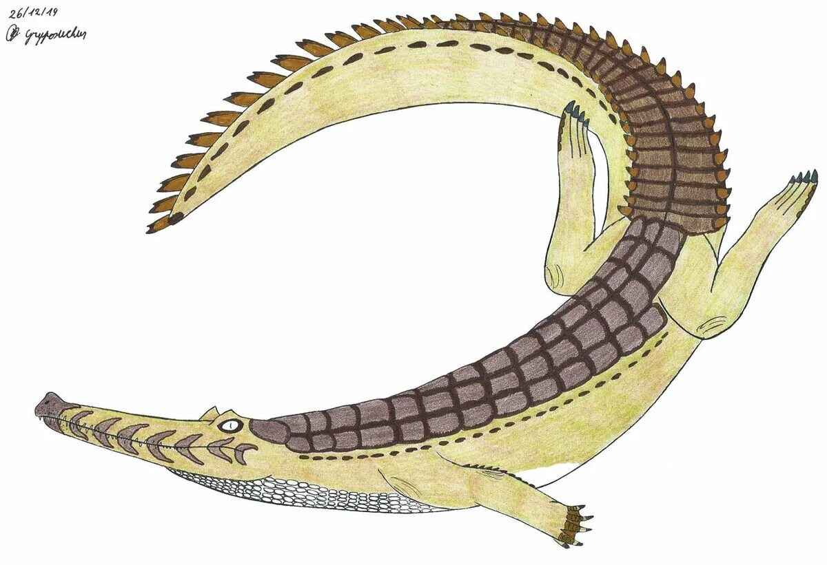 Грипозух. Рамфозух. Рептилии неогенового периода. Грипозух крокодил.