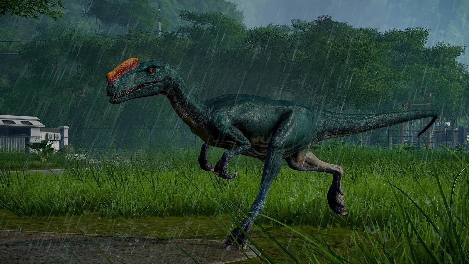 Jurassic world evolution как продать. Jurassic world evolution 2. гуаньлун jurassic world evolution. дриозавр jurassic world evolution. мир юрского периода эволюция 2 троодон.