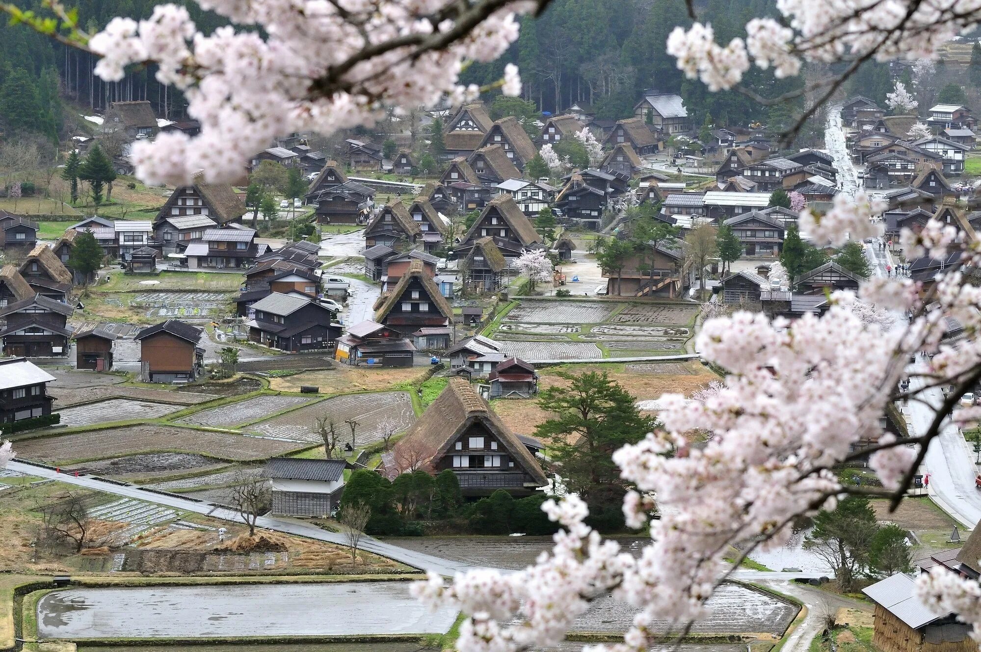 Деревня Сиракава-го Япония. Деревня Нагоро Япония. Японская деревня Киото. Деревня нагара в Японии.