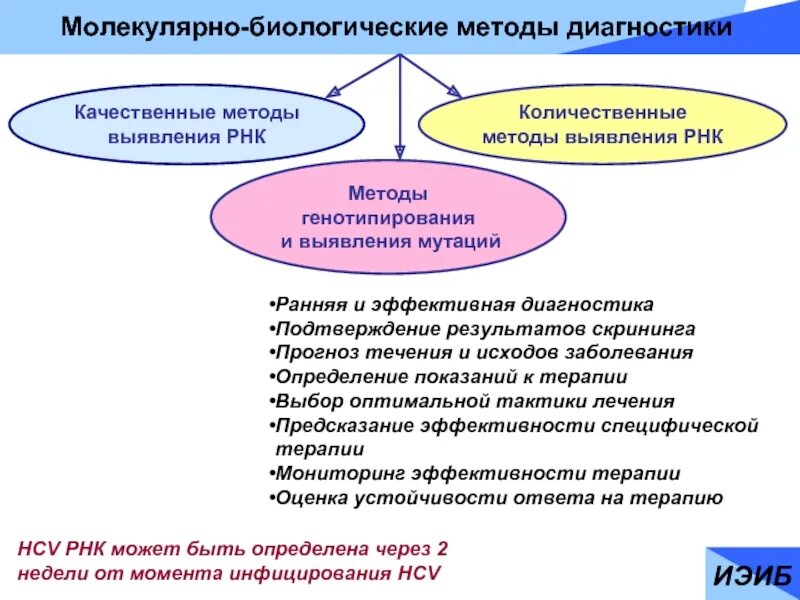 Молекулярные болезни можно диагностировать с помощью метода