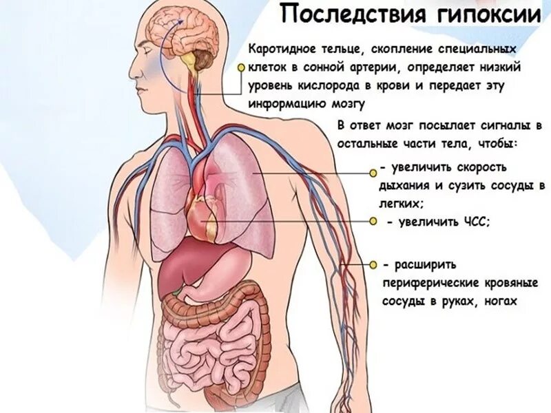 Поступление воздуха в кровь. Гипоксия. Безкислороднте голодание. Признаки гипоксии. Гипоксия кислородное голодание.