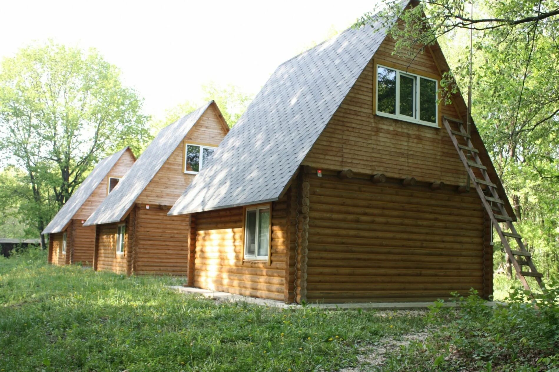 Космос 2 красноярский район самарская область. Турбаза Русалочка Самара. Турбаза в малой Царевщине Самара. Малая Царевщина Самарская область база отдыха. База отдыха Дружба Самара Царевщина.