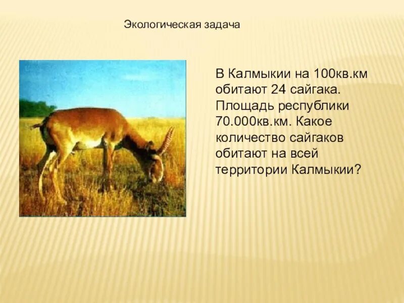 Где обитает сайгак в какой зоне. Сайгак в какой природной зоне обитает. доклад про сайгака. сайгак где обитает. калмыцкий сайгак.
