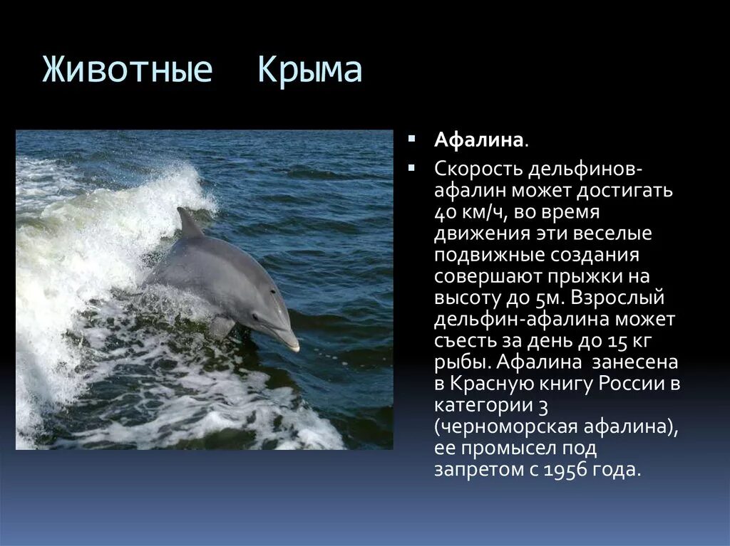 Проект животные красной книги крыма