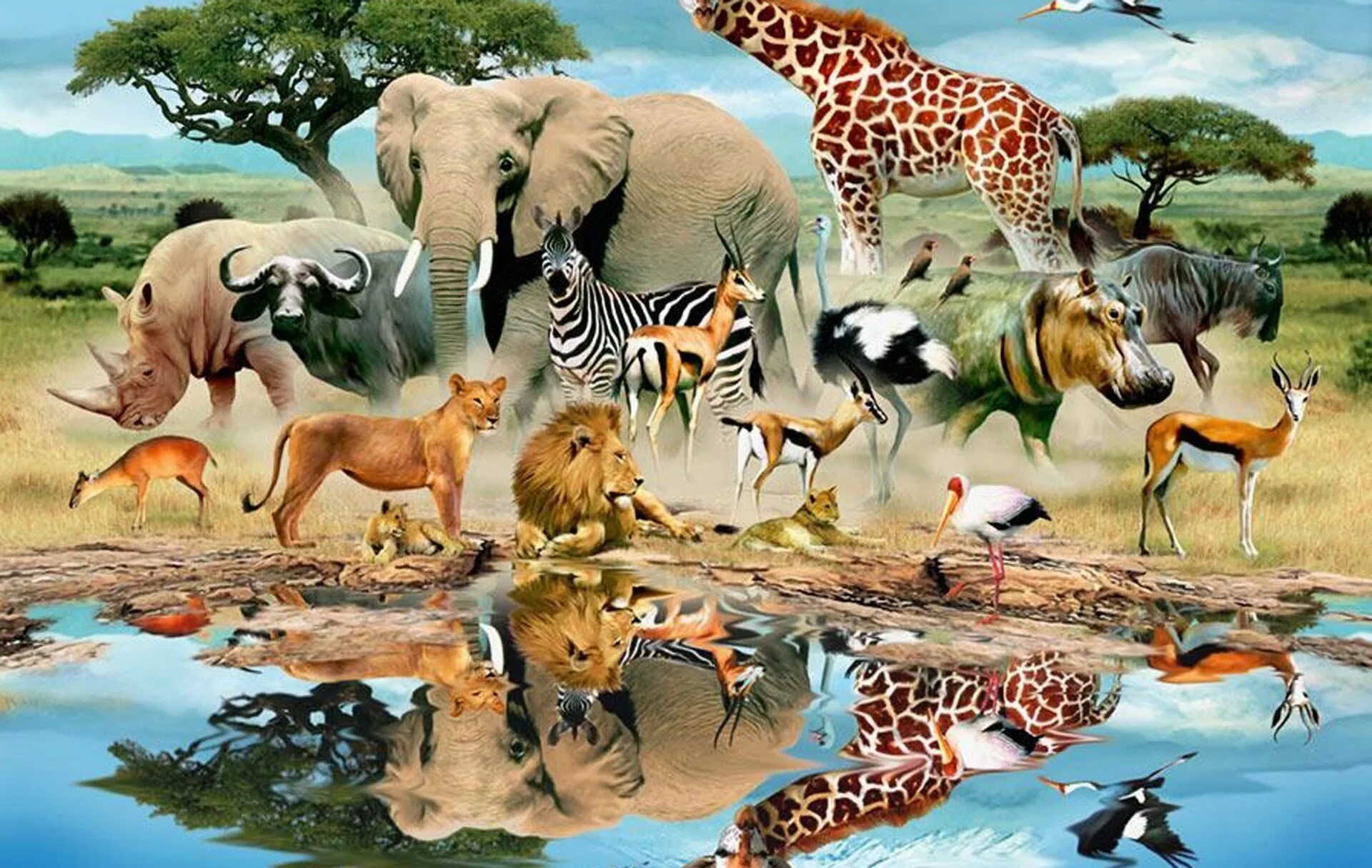 Животный мир. Животные земли. Животный мир планеты. Животные Африки.