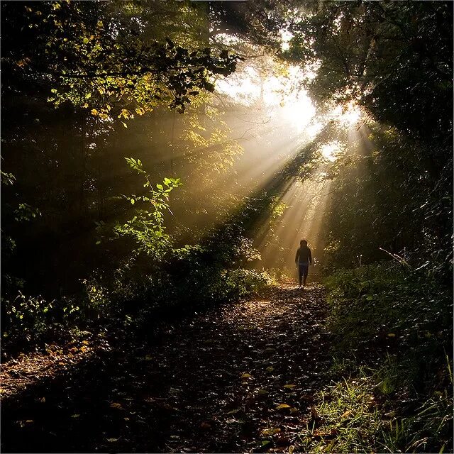 Life is a path