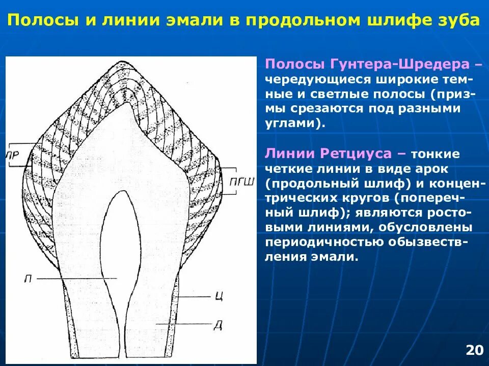 Линия а располагается