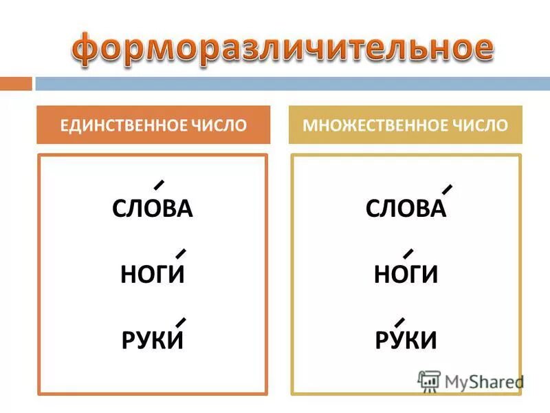 Мрак единственное или множественное. Единственное и множественное число. Единственное или множественное число. Слова в единственном и множественном числе. Единственное число и множественное число.