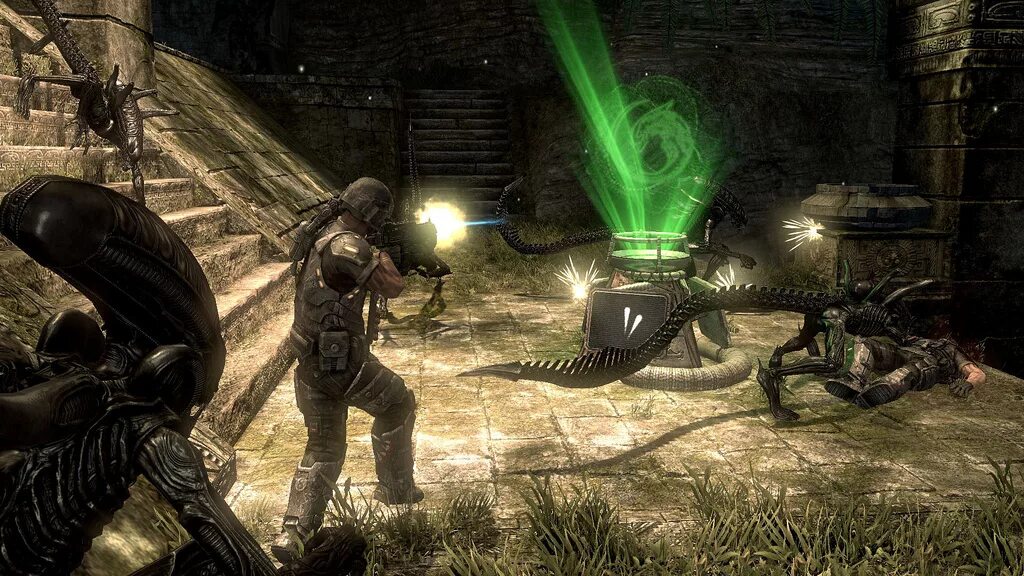 Aliens versus predator игра 2010. Aliens versus predator игра 2010. Alien vs predator 2010 за чужого. Aliens vs. Avp 2010.