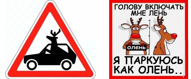 Олень на дороге. Лось на лесной дороге. Олень водить. Олень водить. Олень в очках.
