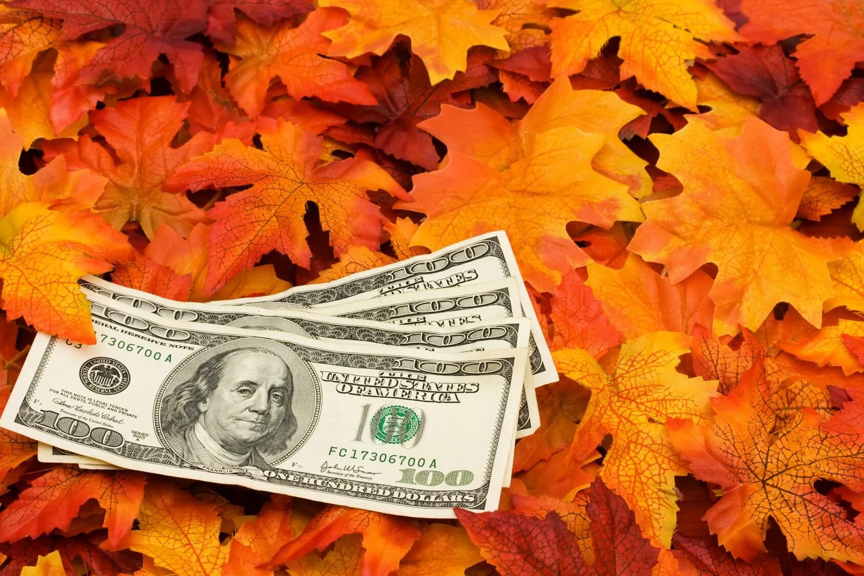 Осень деньги. Деньги и осенние листья. Осенние денежные купюры. Листопад из денег. Осеннее богатство
