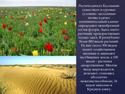Калмыкия муниципальные образования