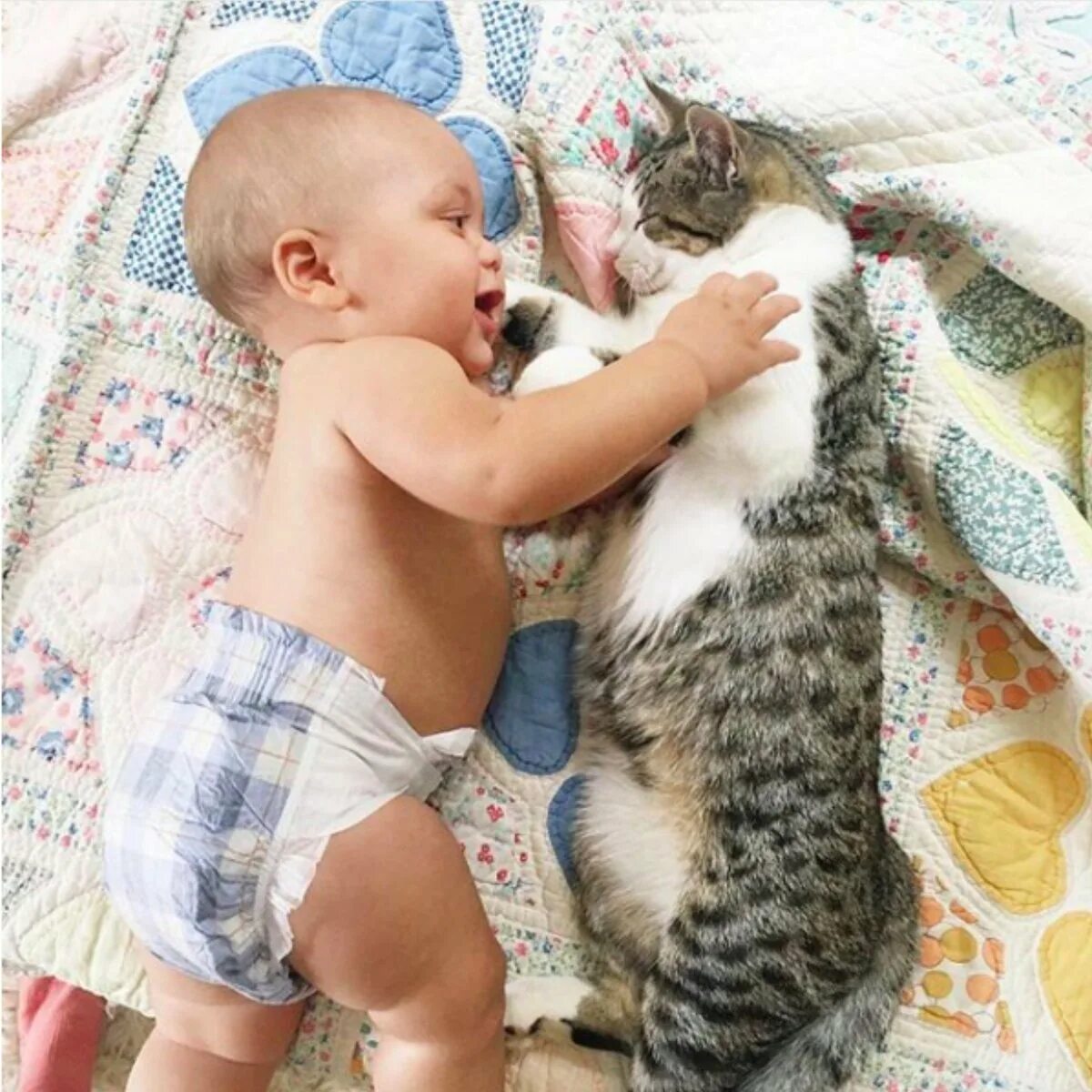 Где кот малыш. Кот и младенец. котёнок-ребёнок. кошка для детей. младенец и котенок.